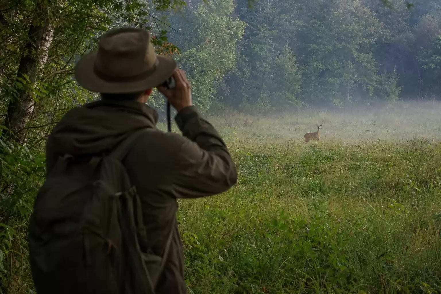 Observer la vie sauvage sans la déranger