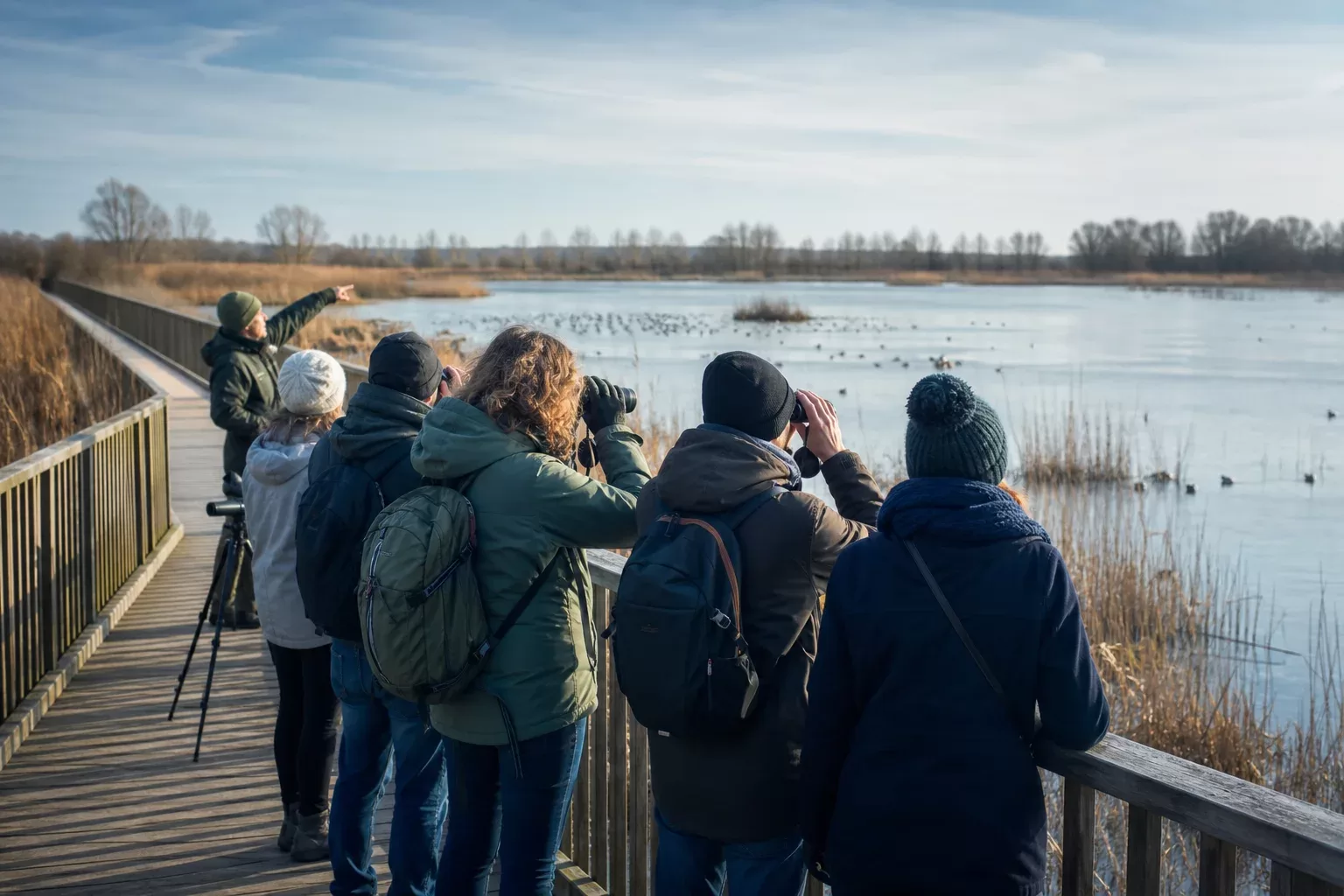 Sorties et animations sur les zones humides en France